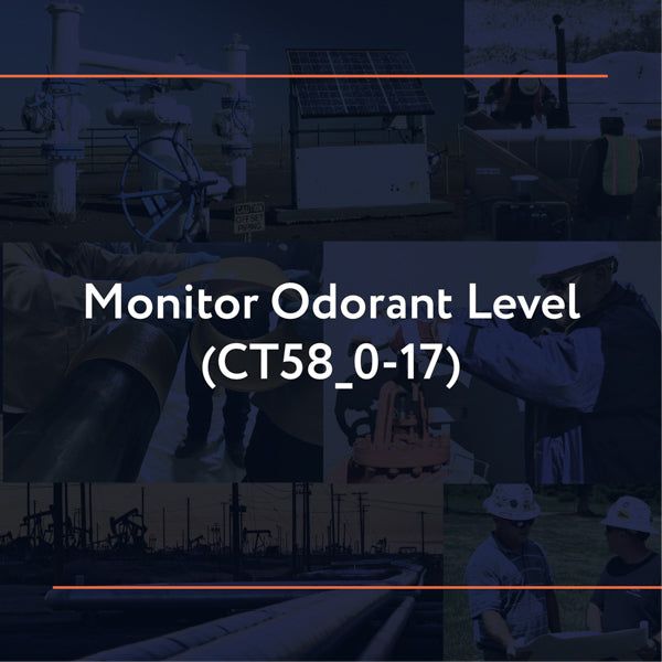 Picture of CT58_0-17: Monitor Odorant Level