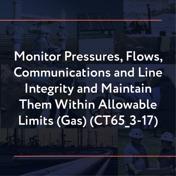 Picture of CT65_3-17: Monitor Pressures, Flows, Communications and Line Integrity and Maintain Them Within Allowable Limits (Gas)