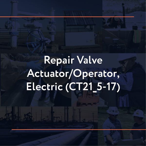 Picture of CT21_5-17: Repair Valve Actuator/Operator, Electric