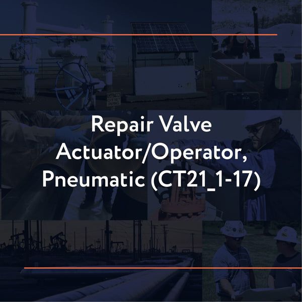 Picture of CT21_1-17: Repair Valve Actuator/Operator, Pneumatic