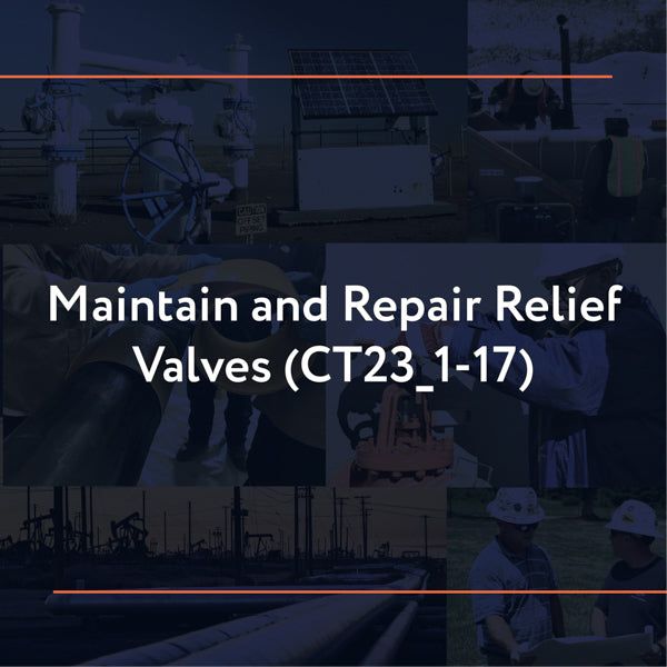 Picture of CT23_1-17: Maintain and Repair Relief Valves