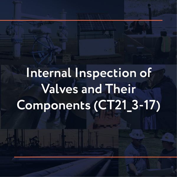 Picture of CT21_3-17: Internal Inspection of Valves and Their Components