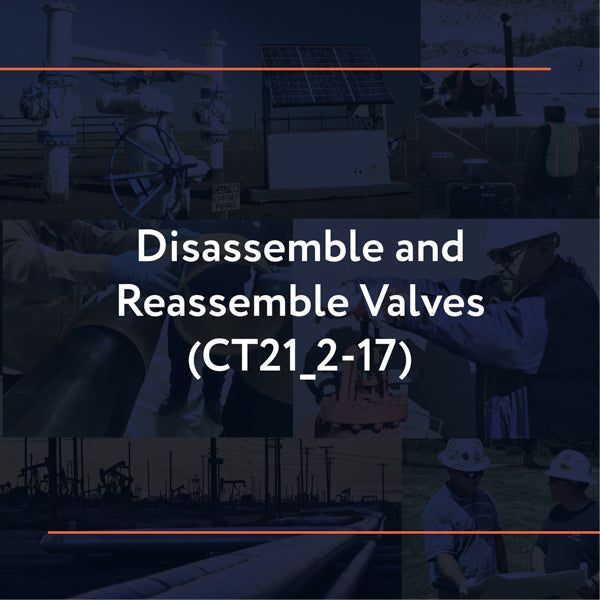 Picture of CT21_2-17: Disassemble and Reassemble Valves
