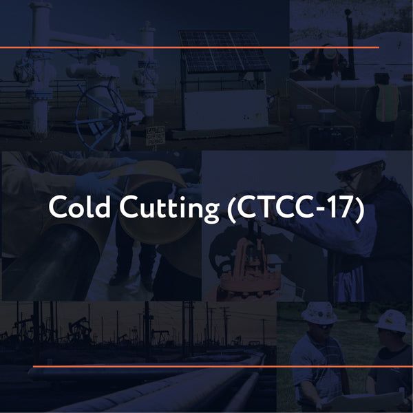 Picture of CTCC-17: Cold Cutting