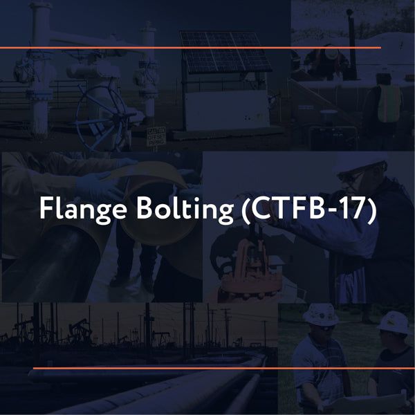 Picture of CTFB-17: Flange Bolting
