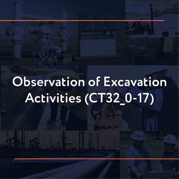 Picture of CT32_0-17: Observation of Excavation Activities