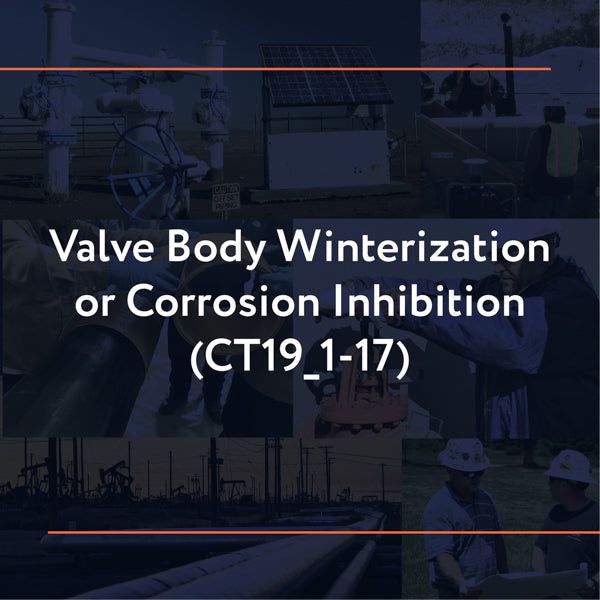 Picture of CT19_1-17: Valve Body Winterization or Corrosion Inhibition