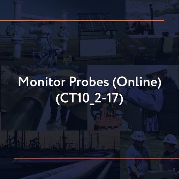 Picture of CT10_2-17: Monitor Probes (Online)