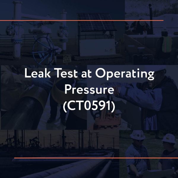 Picture of CT0591: Leak Test at Operating Pressure