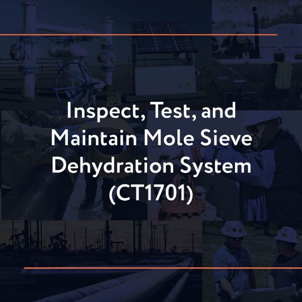 Picture of CT1701: Inspect, Test, and Maintain Mole Sieve Dehydration System